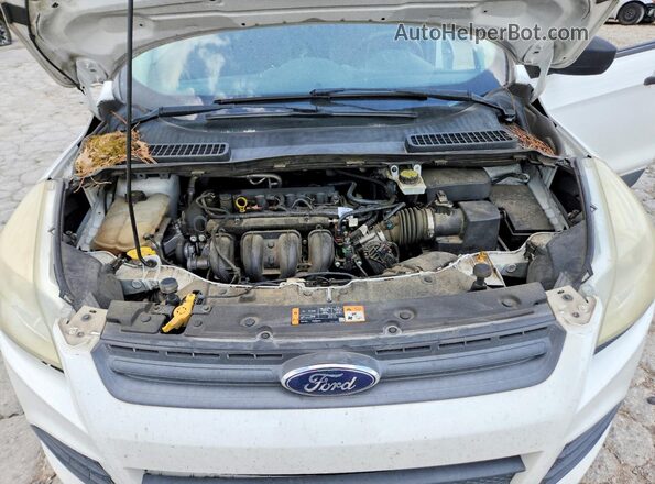 1FMCU0F71GUB19695 2016 FORD ESCAPE Белый Вид подкапотного пространства