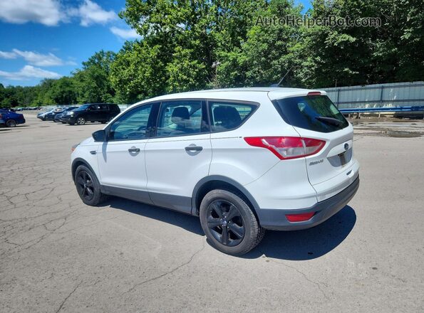 1FMCU0F73GUB69336 2016 FORD ESCAPE Белый Задняя левая четверть