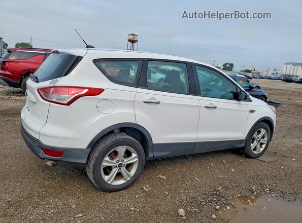 1FMCU0F74GUC21038 2016 FORD ESCAPE White უკანა მარჯვენა