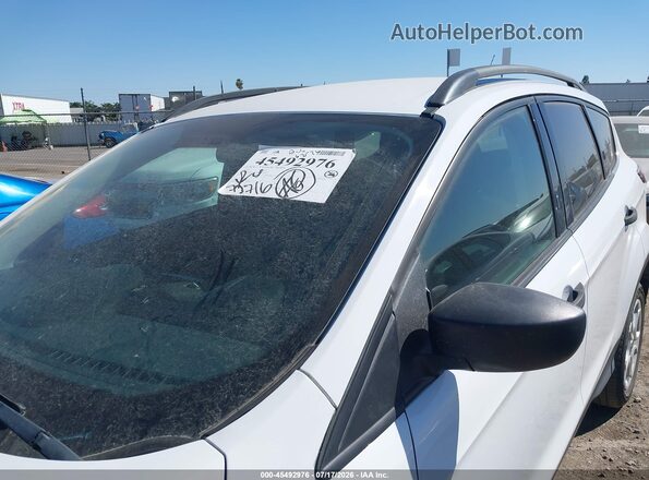 1FMCU0F76KUC10907 2019 FORD ESCAPE Белый Вид задней части салона