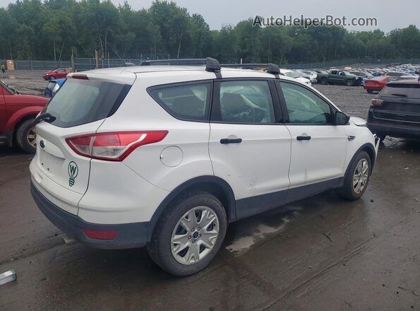 1FMCU0F78GUB12811 2016 FORD ESCAPE White Rear right