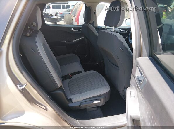 1FMCU0G60LUC01286 2020 FORD ESCAPE Gold Вид наклейки з VIN-кодом