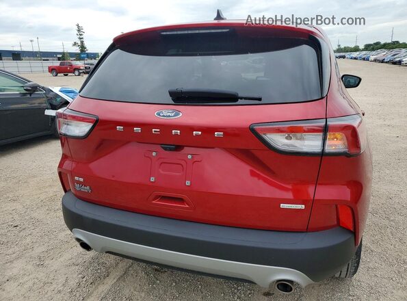 1FMCU0G62LUB60904 2020 FORD ESCAPE Красный Вид сзади