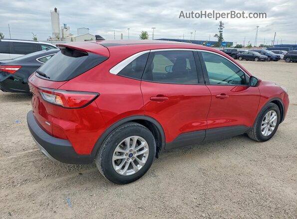 1FMCU0G62LUB60904 2020 FORD ESCAPE Красный Задняя правая четверть