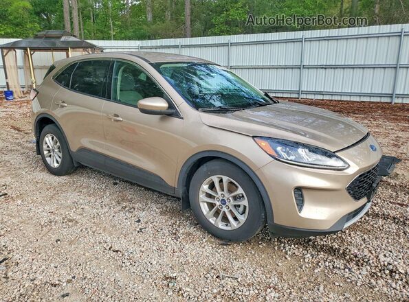 1FMCU0G63LUB93765 2020 FORD ESCAPE Желто-коричневый Передняя правая четверть