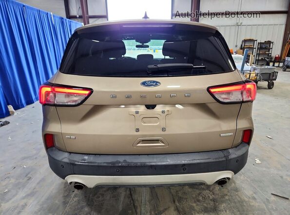 1FMCU0G67LUB55780 2020 FORD ESCAPE Gold Вид ззаду