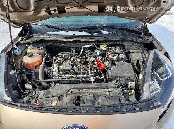 1FMCU0G6XMUA72667 2021 FORD ESCAPE Золотой Вид задней части салона