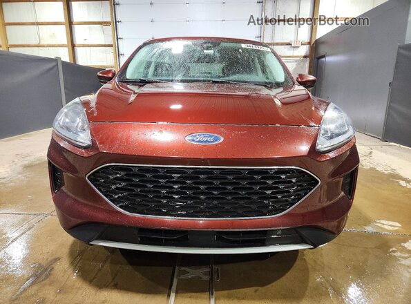 1FMCU0G6XMUA89114 2021 FORD ESCAPE Brown Widok z przodu