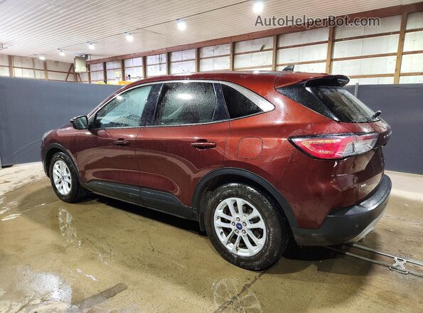 1FMCU0G6XMUA89114 2021 FORD ESCAPE Brown Tył lewy