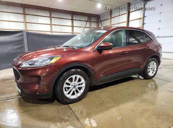 1FMCU0G6XMUA89114 2021 FORD ESCAPE Brown 