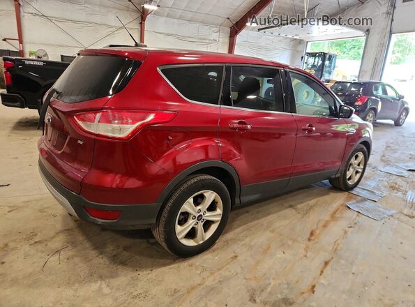 1FMCU0G70GUC07801 2016 FORD ESCAPE Red უკანა მარჯვენა