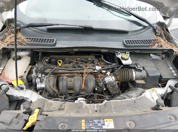 1FMCU0G71GUB78874 2016 FORD ESCAPE Серебряный Вид сзади