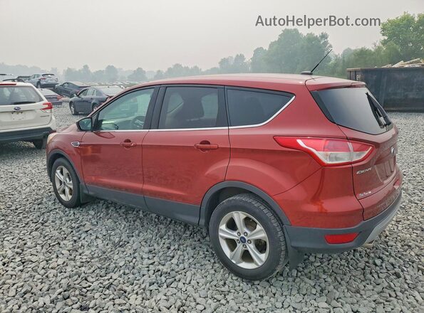 1FMCU0G72GUA18924 2016 FORD ESCAPE Red უკანა მარცხენა