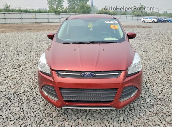 1FMCU0G72GUA18924 2016 FORD ESCAPE Red წინა ხედი