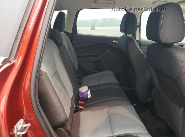 1FMCU0G72GUA18924 2016 FORD ESCAPE Red უკანა სალონის ხედი