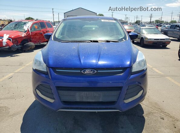 1FMCU0G72GUB72372 2016 FORD ESCAPE Синий Вид спереди