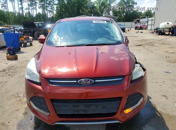 1FMCU0G76GUB44199 2016 FORD ESCAPE Коричневый Вид спереди