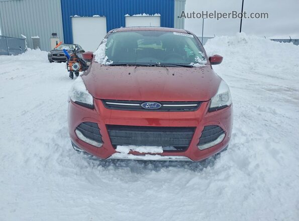 1FMCU0G76GUC47221 2016 FORD ESCAPE Burgundy Widok z przodu