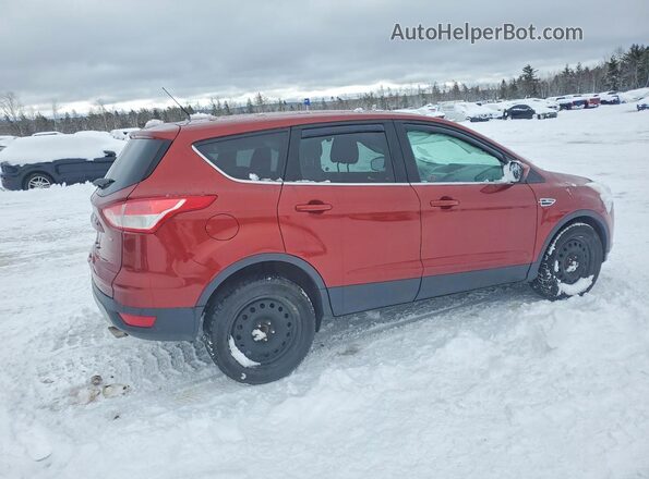 1FMCU0G76GUC47221 2016 FORD ESCAPE Burgundy Tył prawy