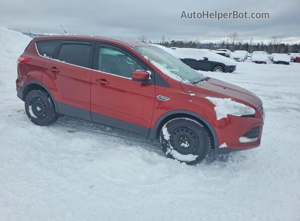 1FMCU0G76GUC47221 2016 FORD ESCAPE Burgundy Przód prawy
