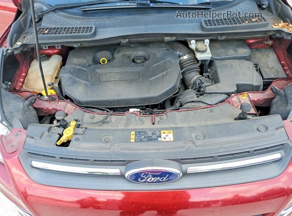 1FMCU0G91GUC74022 2016 FORD ESCAPE Red Շարժիչի բաժամունքի տեսք