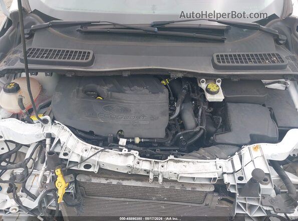 1FMCU0GD0HUC24072 2017 FORD ESCAPE Белый Вид сзади