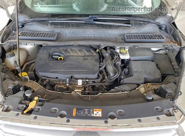 1FMCU0GD1HUA54692 2017 FORD ESCAPE Tan Սալոնի հետևի տեսք