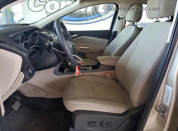 1FMCU0GD1HUA54692 2017 FORD ESCAPE Tan Սալոնի դիմացի տեսք