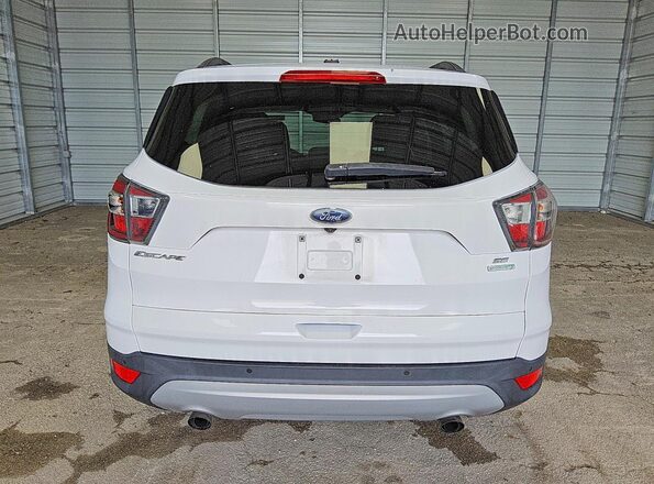 1FMCU0GD1HUB46014 2017 FORD ESCAPE White Հետևի տեսք