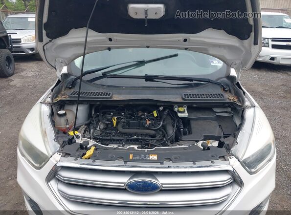 1FMCU0GD1HUE66725 2017 FORD ESCAPE Белый Вид сзади