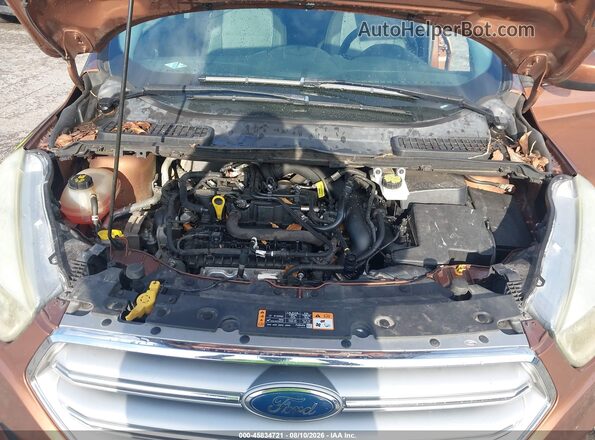 1FMCU0GD3HUA16395 2017 FORD ESCAPE Brown Widok z tyłu