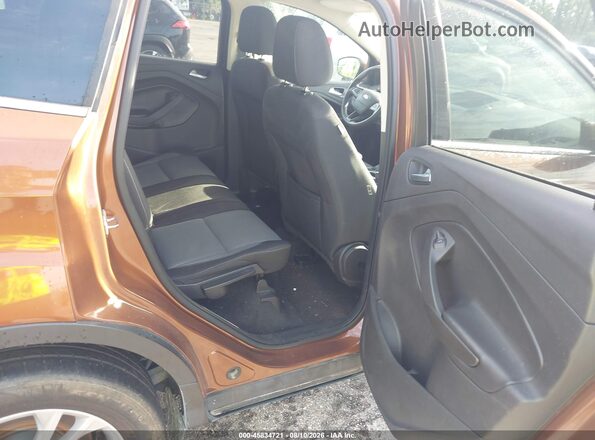 1FMCU0GD3HUA16395 2017 FORD ESCAPE Brown Widok naklejki z numerem VIN
