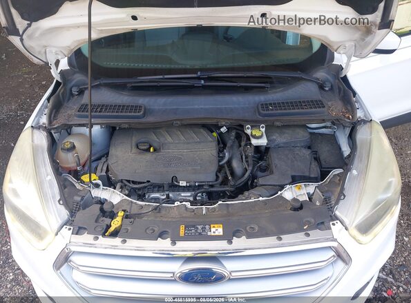 1FMCU0GD3HUA49042 2017 FORD ESCAPE White Rear view