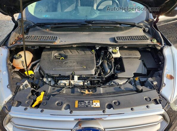 1FMCU0GD4HUB00774 2017 FORD ESCAPE Black VIN კოდის სტიკერის ხედი
