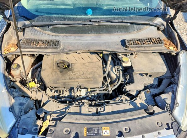 1FMCU0GD4HUC98627 2017 FORD ESCAPE Black Սալոնի հետևի տեսք