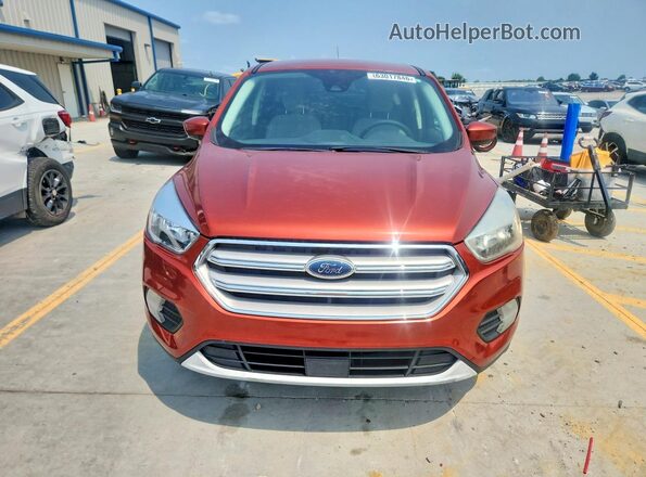 1FMCU0GD4KUB84666 2019 FORD ESCAPE Orange წინა ხედი