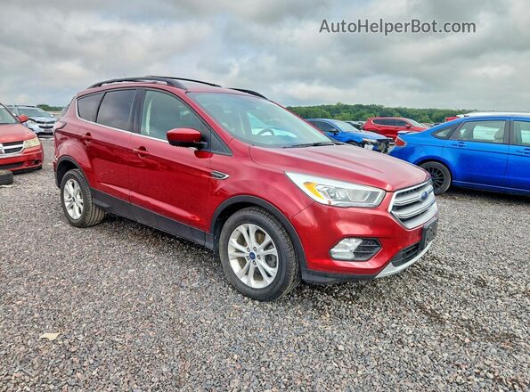 1FMCU0GD5HUA16446 2017 FORD ESCAPE Красный Передняя правая четверть