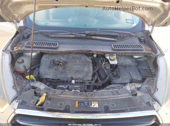 1FMCU0GD5HUA81121 2017 FORD ESCAPE Gold უკანა ხედი