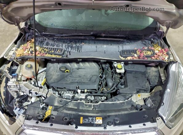 1FMCU0GD5HUB28180 2017 FORD ESCAPE Tan Շարժիչի բաժամունքի տեսք