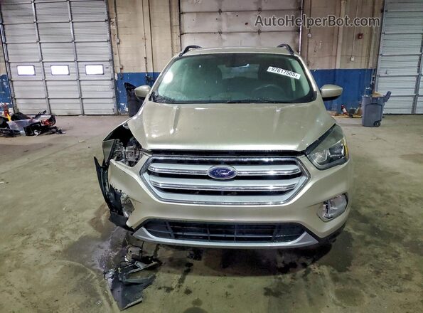 1FMCU0GD5HUB28180 2017 FORD ESCAPE Tan Դիմացի տեսք