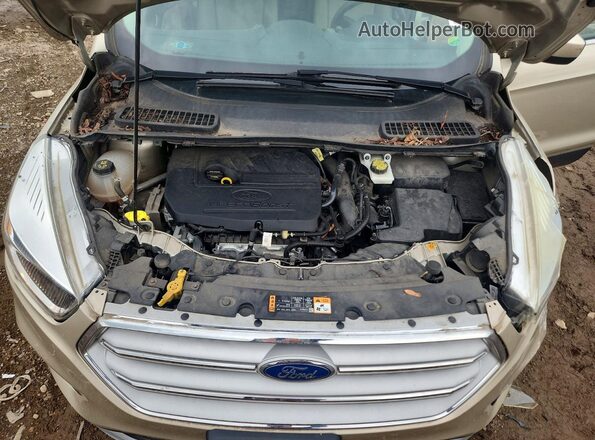 1FMCU0GD5JUA44088 2018 FORD ESCAPE Tan Սալոնի հետևի տեսք