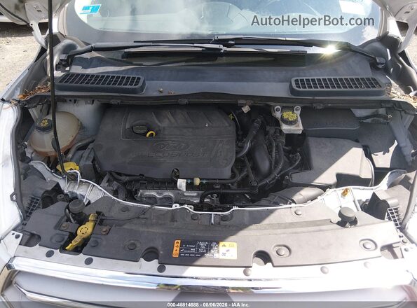 1FMCU0GD5JUC17723 2018 FORD ESCAPE White Հետևի տեսք