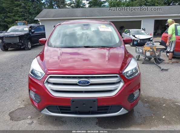 1FMCU0GD6KUA14227 2019 FORD ESCAPE Red Vista interior trasera