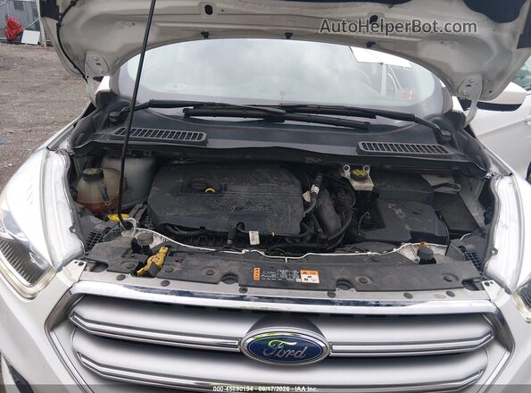 1FMCU0GD7HUA21616 2017 FORD ESCAPE White Rear view
