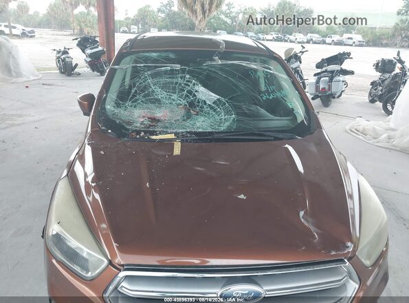 1FMCU0GD7HUB19724 2017 FORD ESCAPE Brown Vista frontal