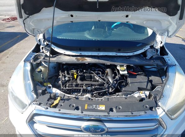 1FMCU0GD7HUE49167 2017 FORD ESCAPE Белый Вид сзади