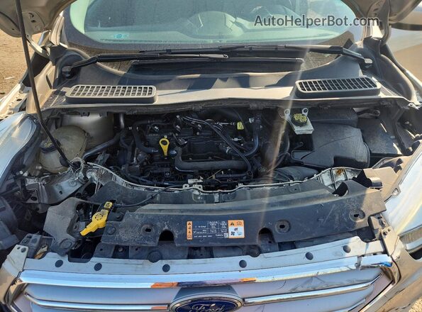 1FMCU0GD7HUE91600 2017 FORD ESCAPE Gold Շարժիչի բաժամունքի տեսք