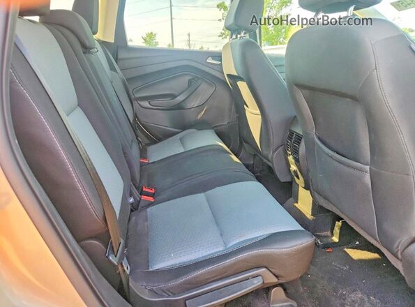 1FMCU0GD7HUE91600 2017 FORD ESCAPE Gold Սալոնի հետևի տեսք