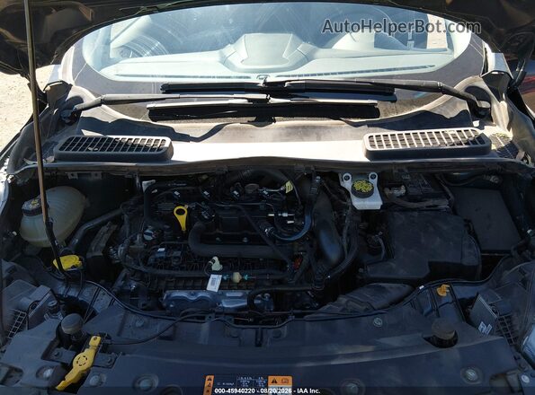 1FMCU0GD8KUB75954 2019 FORD ESCAPE Blue უკანა ხედი