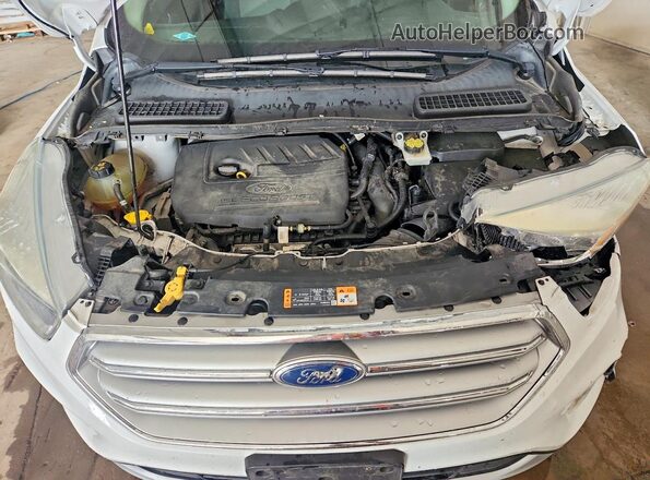 1FMCU0GD9HUE87550 2017 FORD ESCAPE White Շարժիչի բաժամունքի տեսք